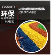 2024-2029全球與中國雙膜屋頂市場現狀及未來發展趨勢