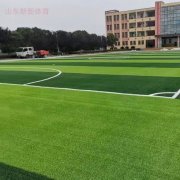 中国制造人工草坪铺满中亚绿茵场